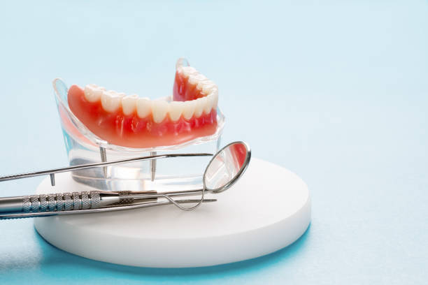 Best Dental Bonding  in Whitfield, FL